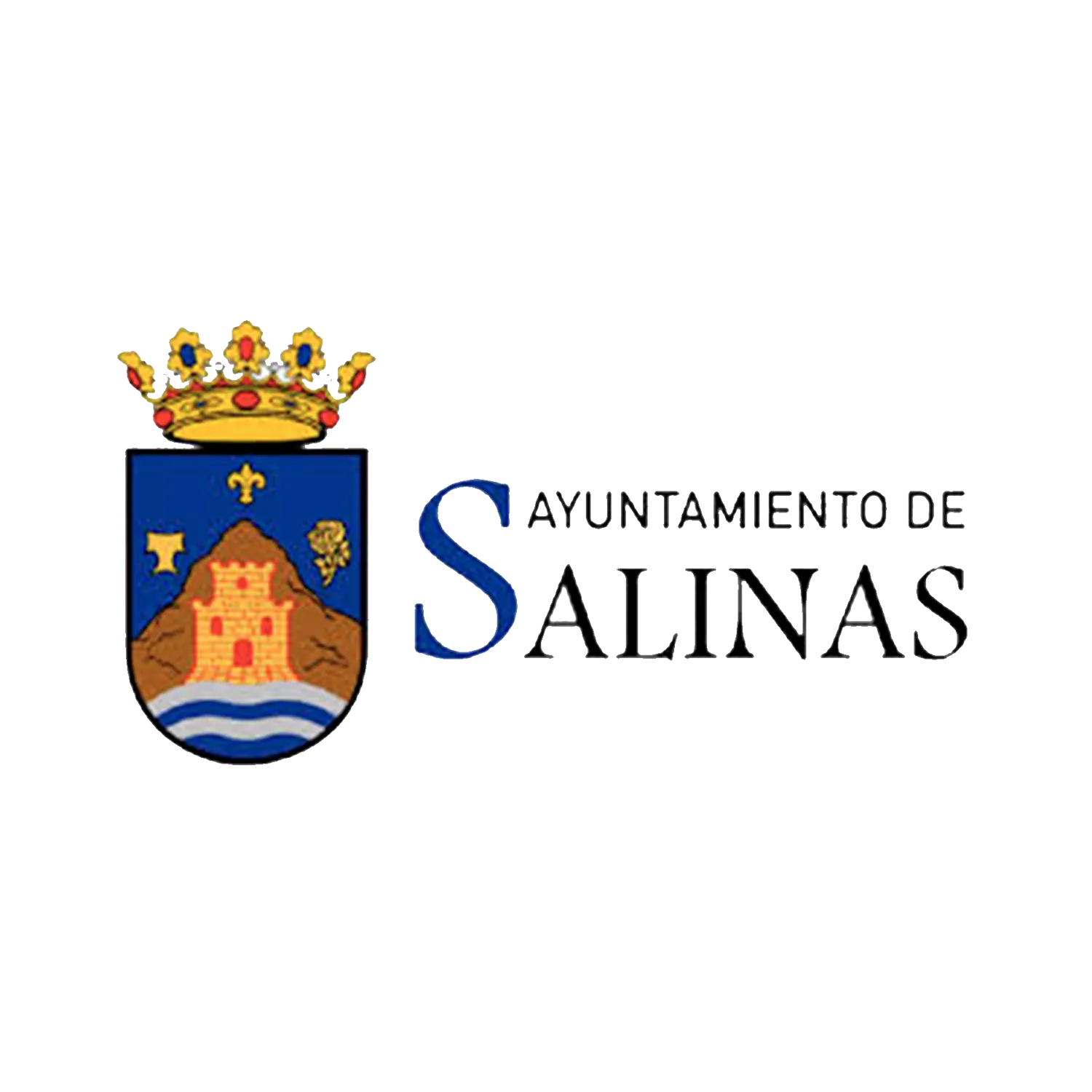 Ayuntamiento de Salinas